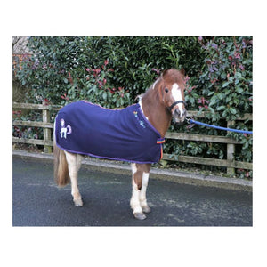 Rainbow Riders Fleece Rug