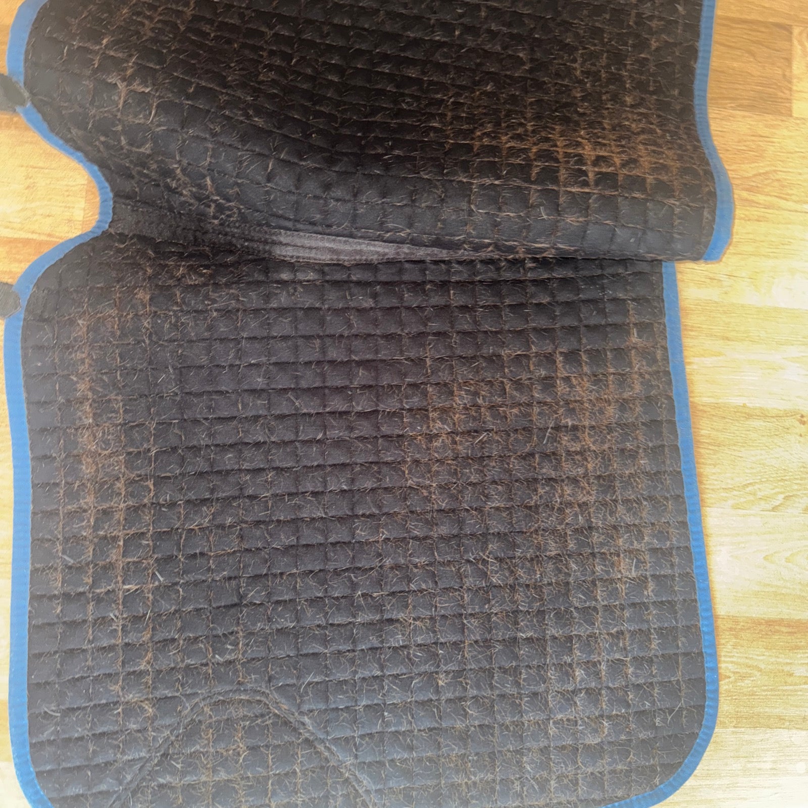 Lemieux Midnight Blue Dressage Saddle Pad