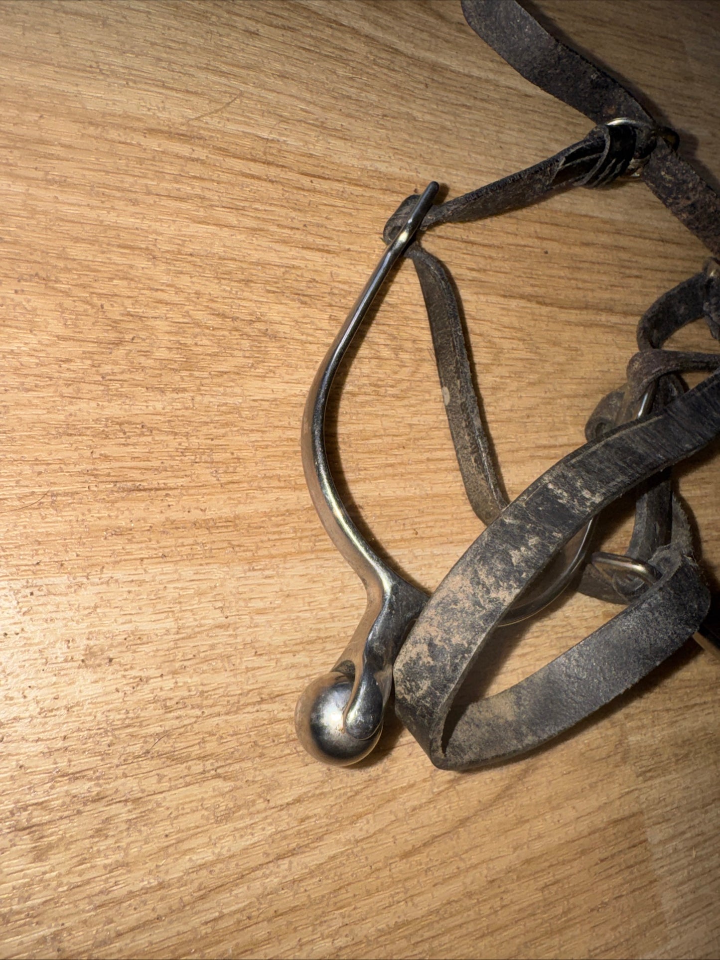 Roller Ball Ladies Spurs With Leather Spur Straps | Second Hand Horse Rider #113
