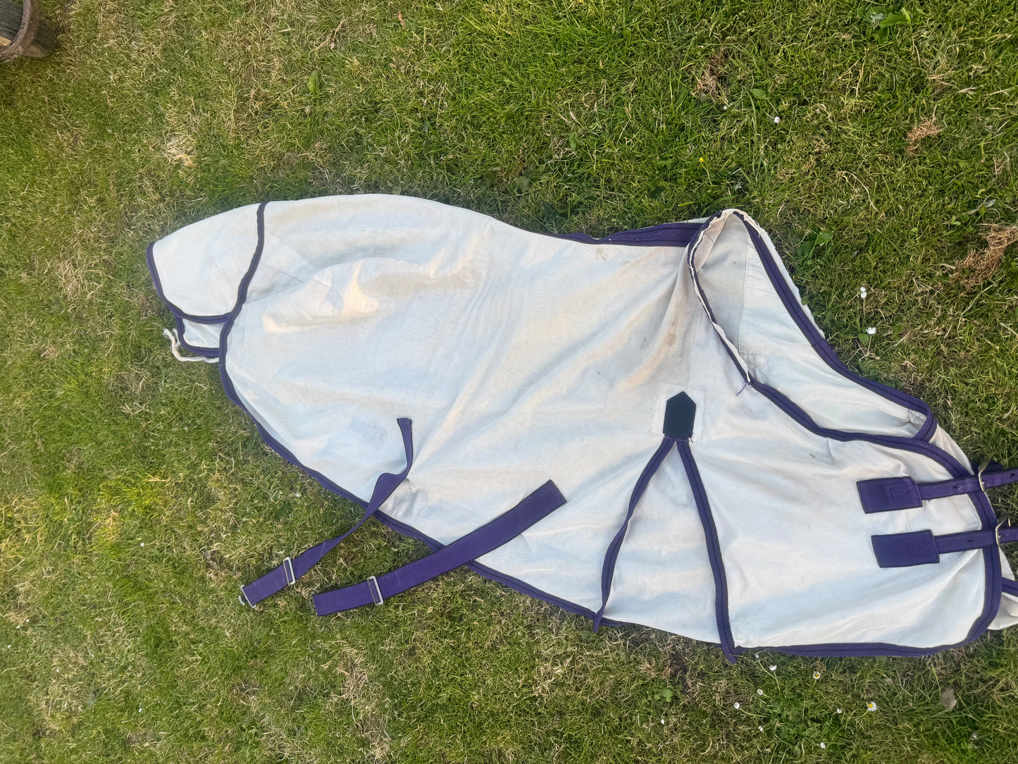 Weatherbeeta 4’9 Fly Rug | Second Hand Pony Tack