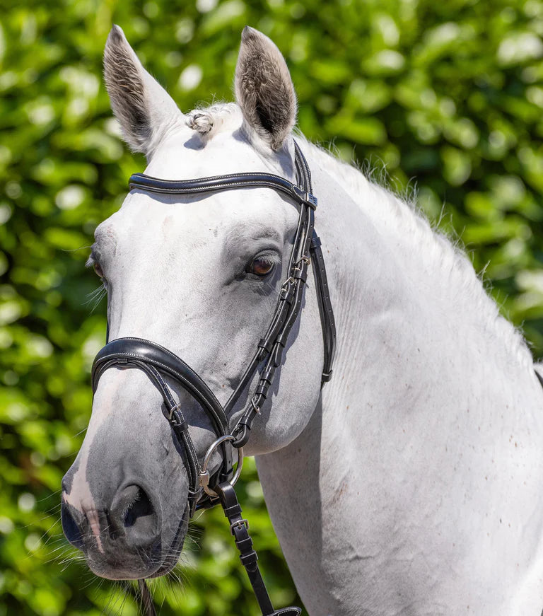 Premier Equine Cassano Snaffle Bridle