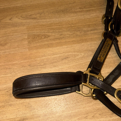 Havana English Leather Heavy Duty Cob Headcollar Brass Replaceable Nameplate