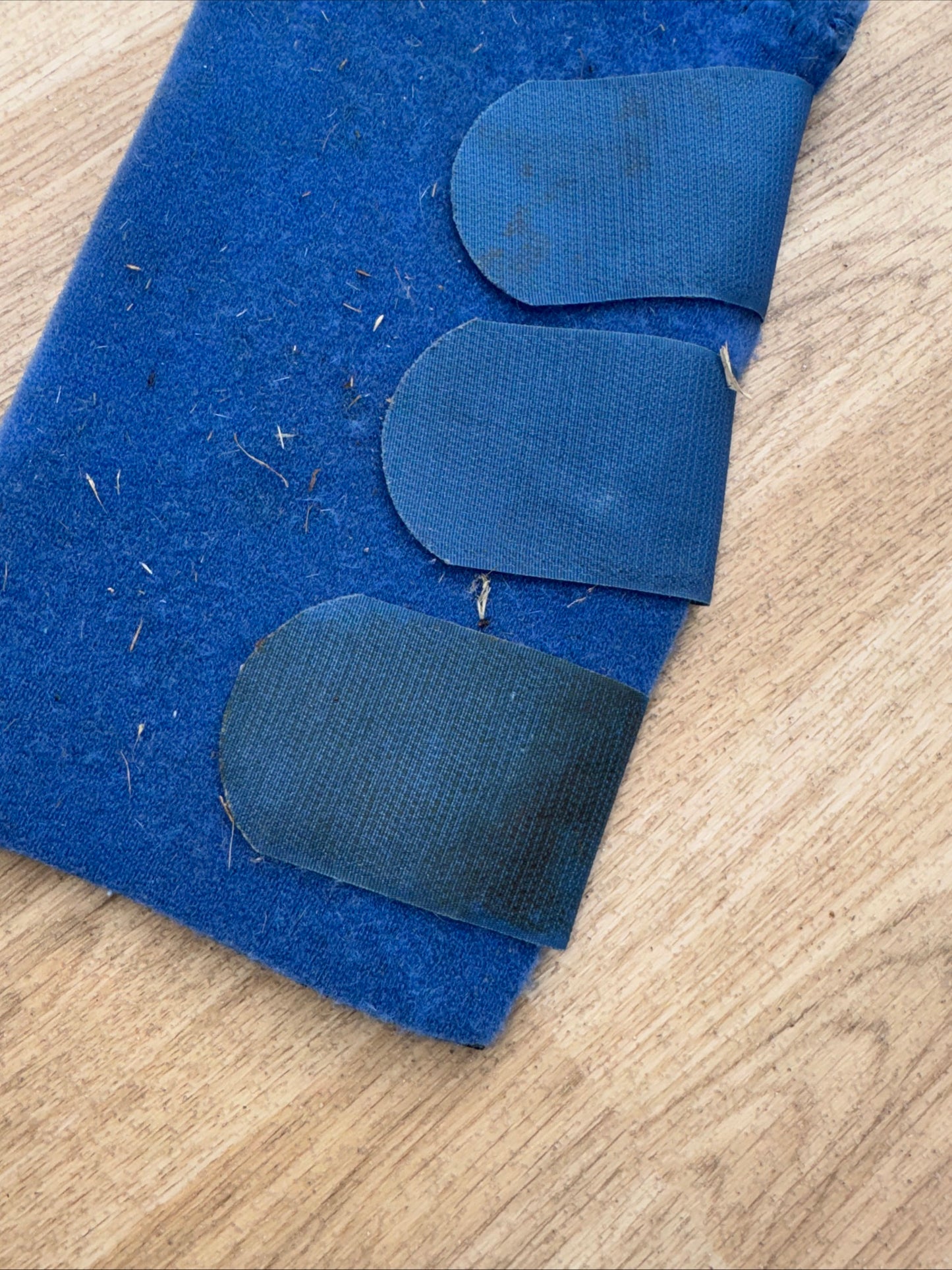 Professional Choice Blue Neoprene Non Slip Tail Guard | Second Hand Horse Tack