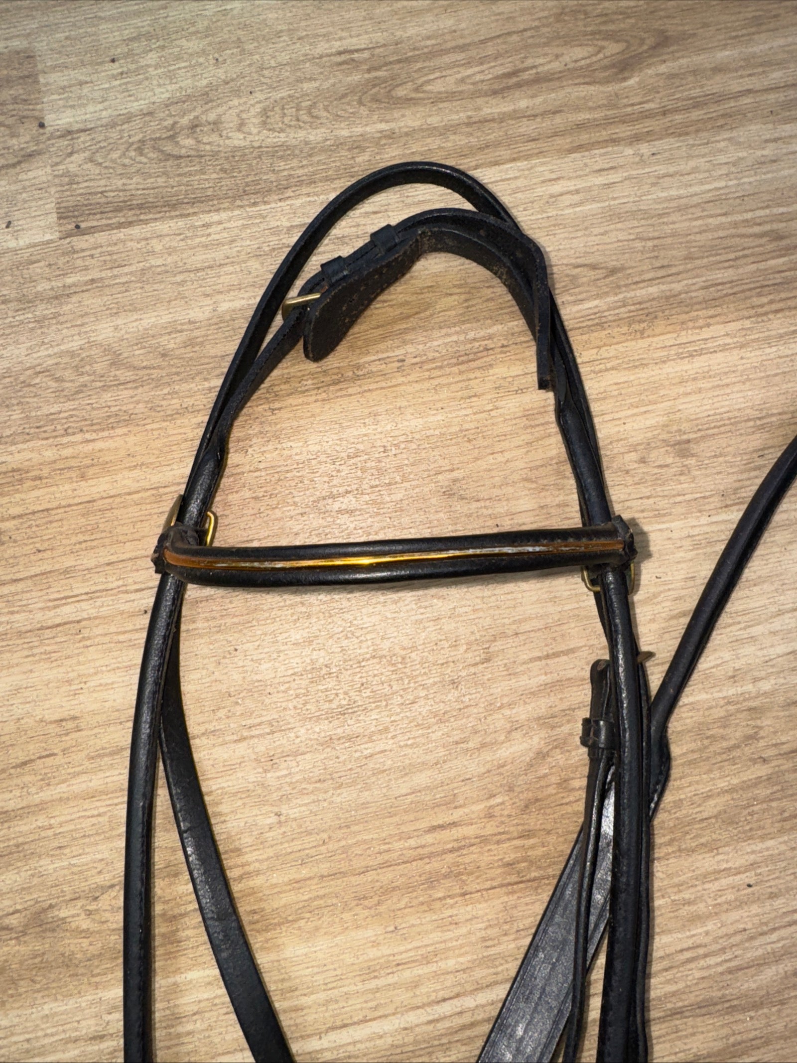 Fine Arab Inhand Bridle - Black Rolled Leather - Free Postage