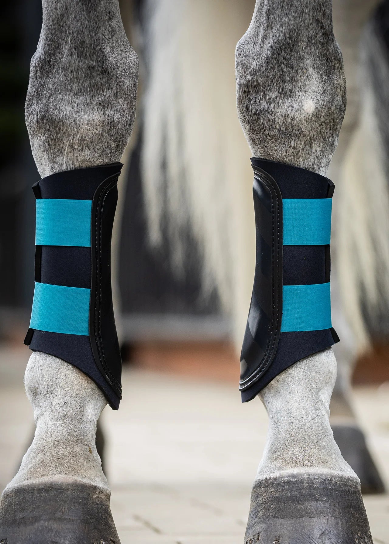 Woof wear Club Brushing Boot | OCEAN | Large or XL