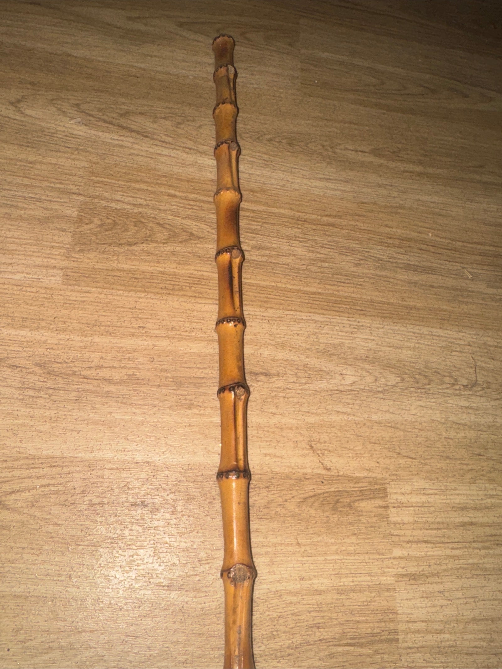 Bamboo Showing Cane 52cm