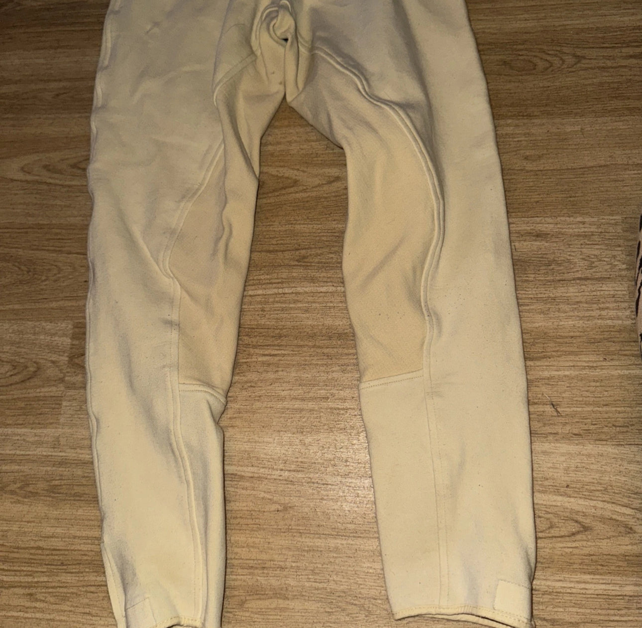Caldene Beige Ladies 24” R Breeches