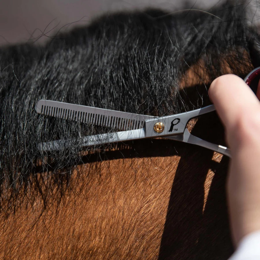 Smart Grooming 6" SINGLE LEG THINNING SCISSORS