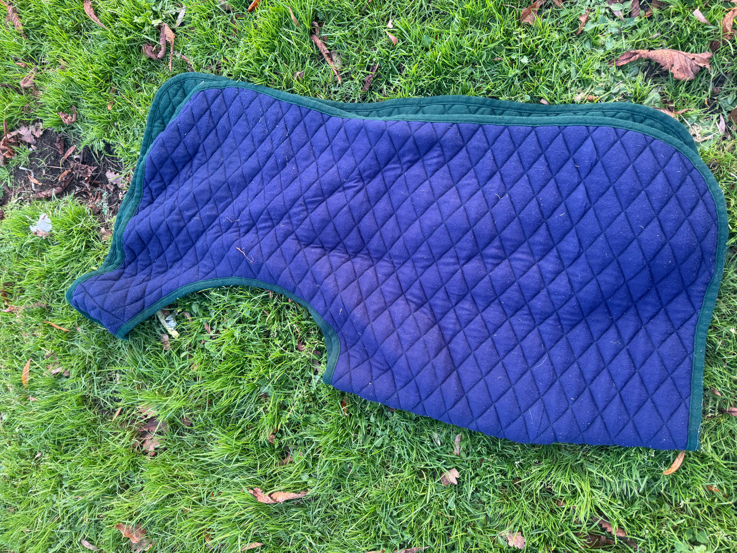 Colin Cook Like A Thermatex Wrap Around Exercise Sheet, Pony Size. Warm Winter