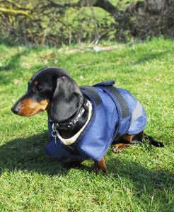 Rhinegold Highland Waterproof Dog Coat