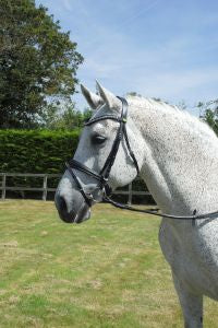 Rhinegold Italian Leather Anatomical Bridle With Flash Noseband