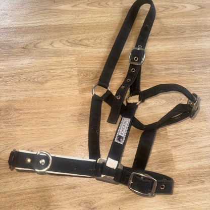 Kincade Size Full Lunging Cavason | Second Hand Horse Tack #33