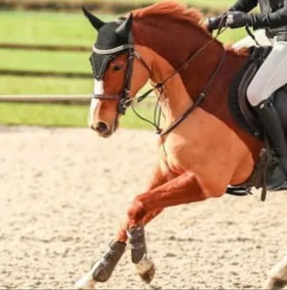 Equestre Sport Saddle Pad & Ear Veil .