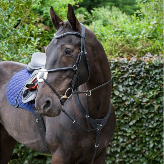 Cameo Performance Elasticated Breastplate