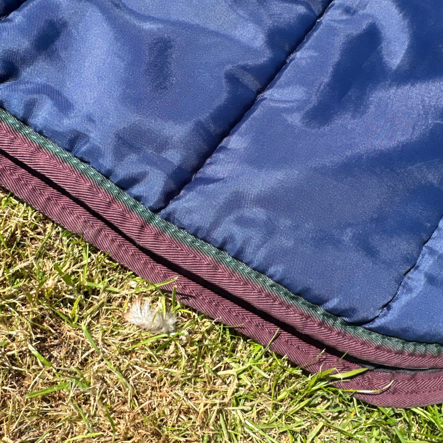 Masta 5’6 250gm Stable Rug - Free Postage
