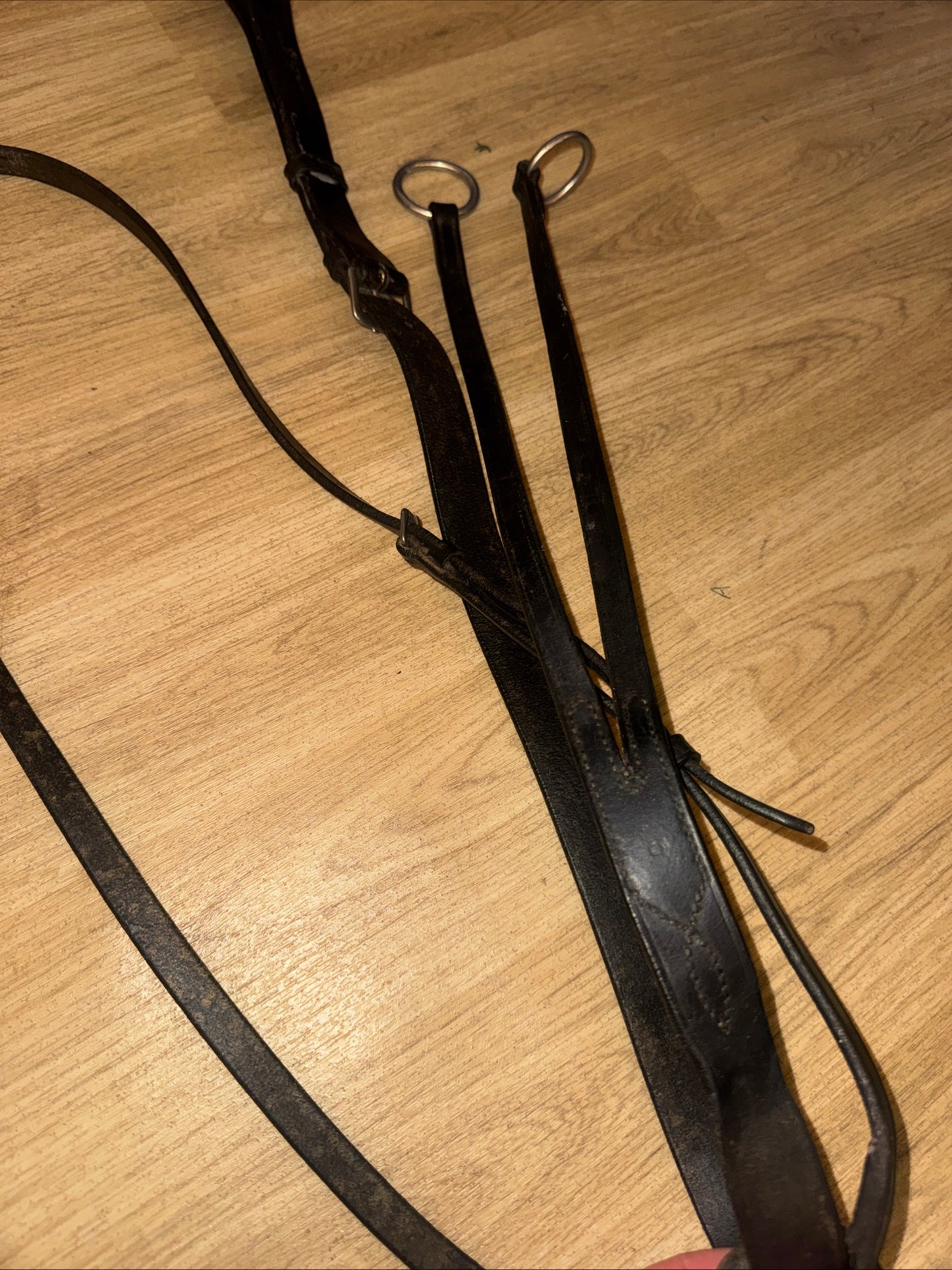 Ascot Cob Size Running Martingale Leather Black #22 Second Hand Horse Tack