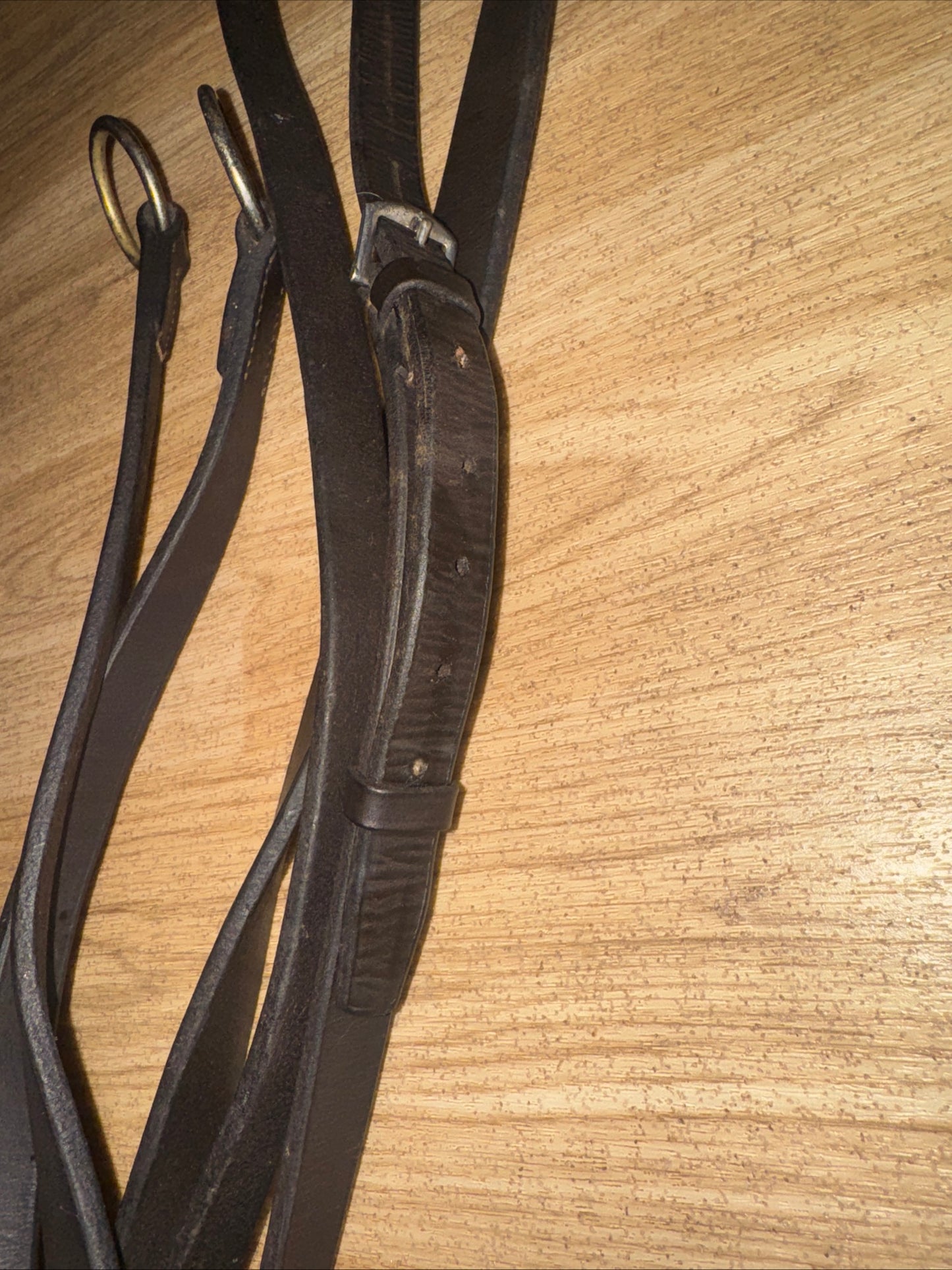 Brown Cob English Running Martingale #41