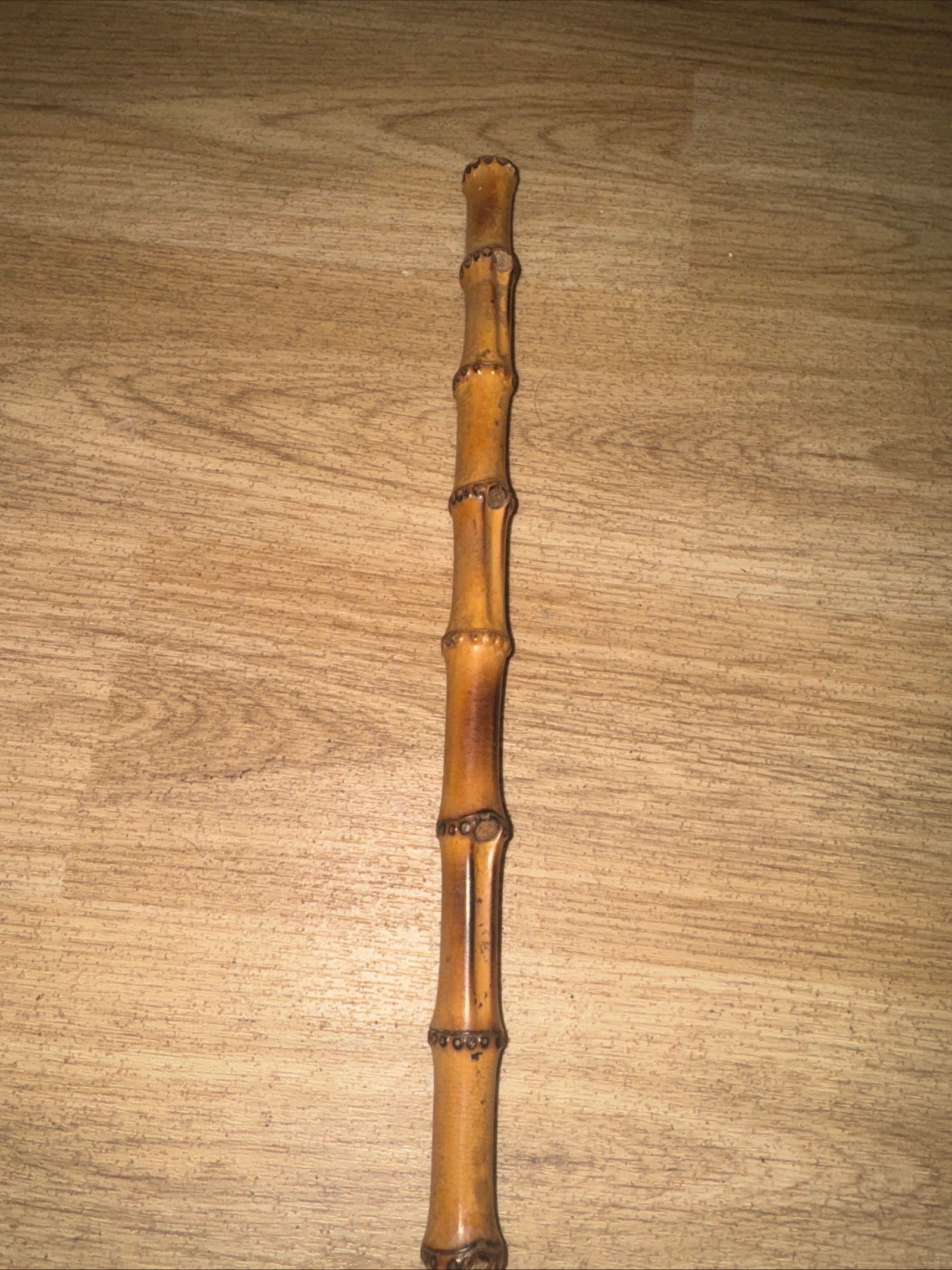 Bamboo Showing Cane 52cm