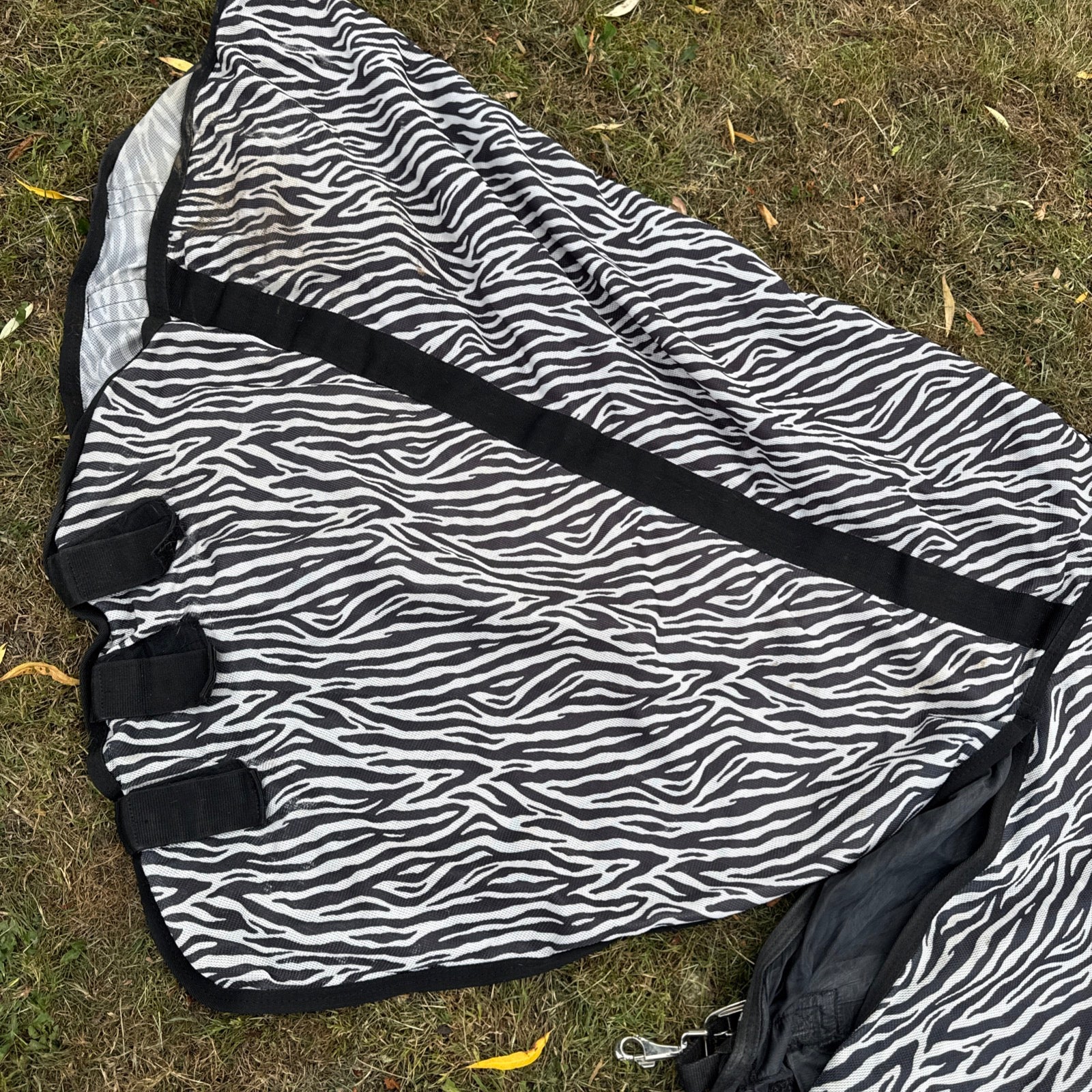 Big Horse Shop Epic 7’3 Broad Fit Fly Rug - Heavy Horse
