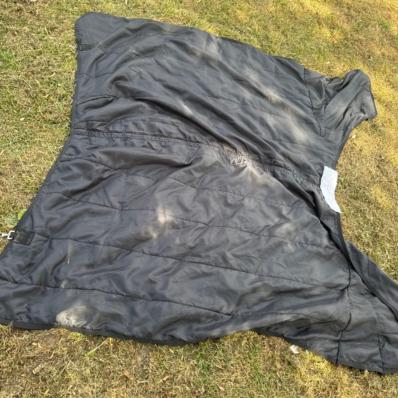 Big Horse Shop Epic 7’3 100gm Rug Liner