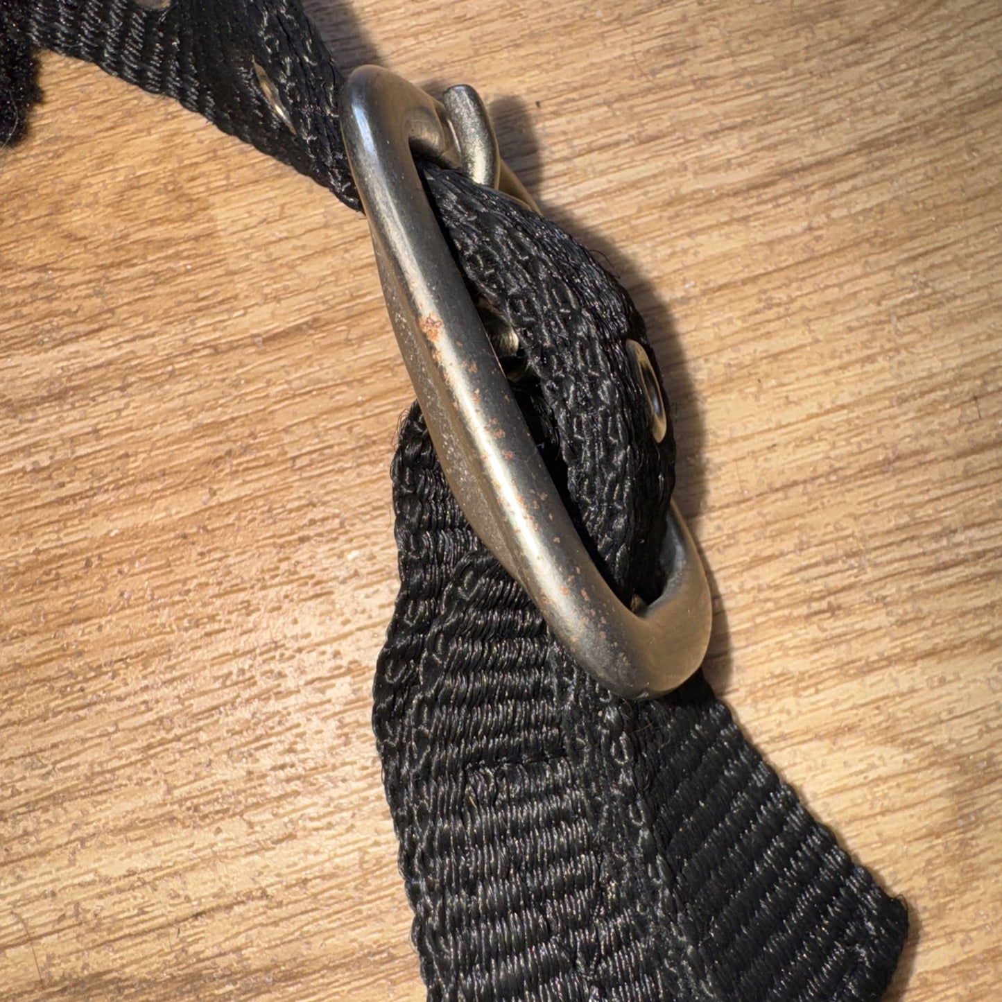 Imperial Riding Black Silver Glitter Headcollar - Full