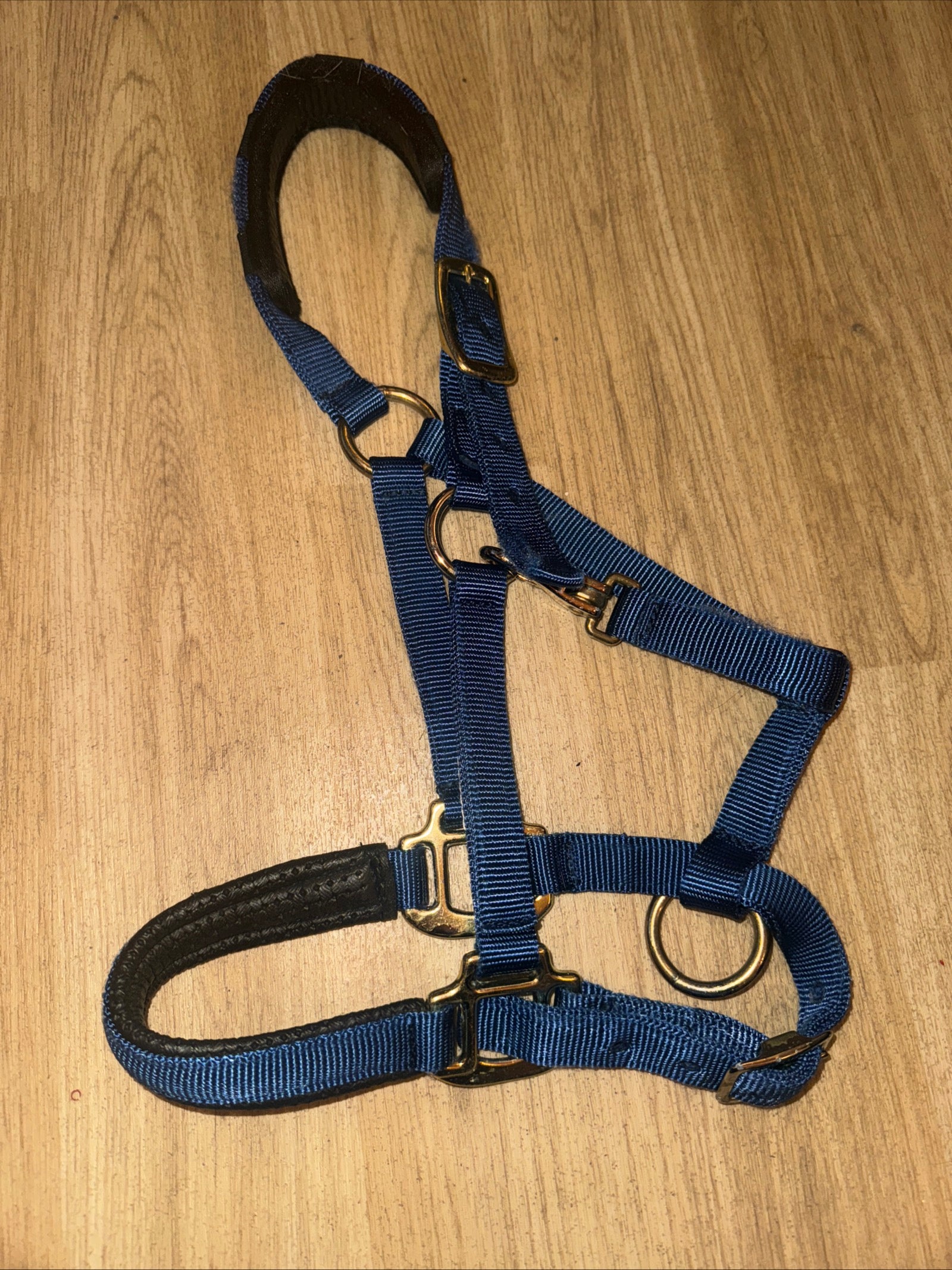 Km Elite Blue XS Pony Headcollar - FREE Postage