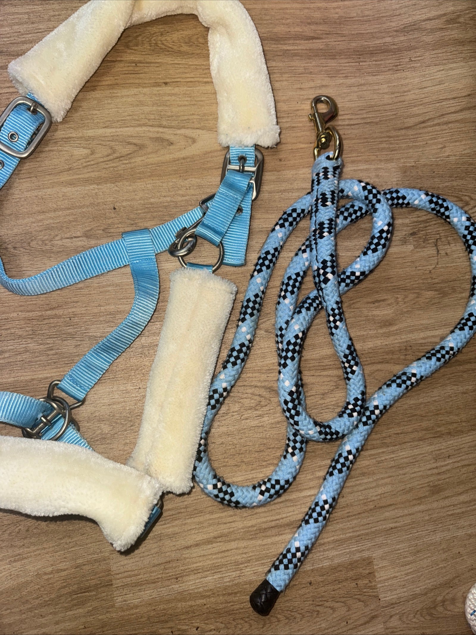 Blue Fluffy XF Headcollar & Leadrope / Free Postage