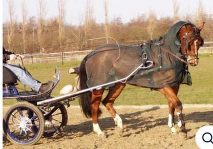 Ideal Green Driving Fly Rug & Neck Size 6’0