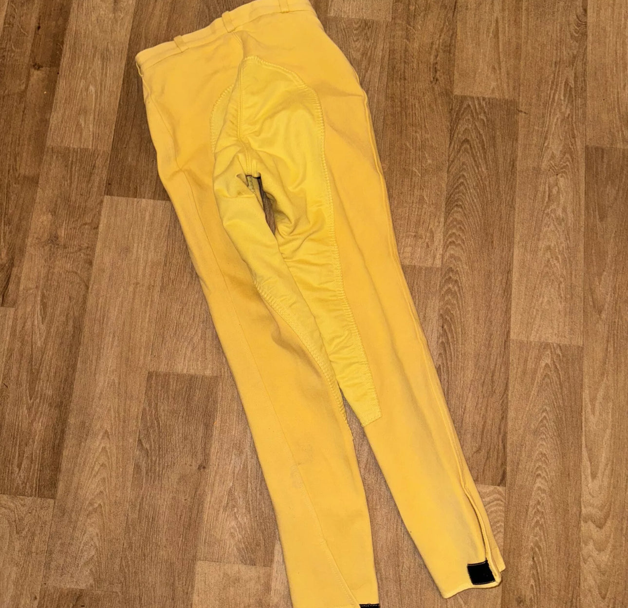 Calvery 24” Ladies Canary Suede Breeches - Free Post 🐴