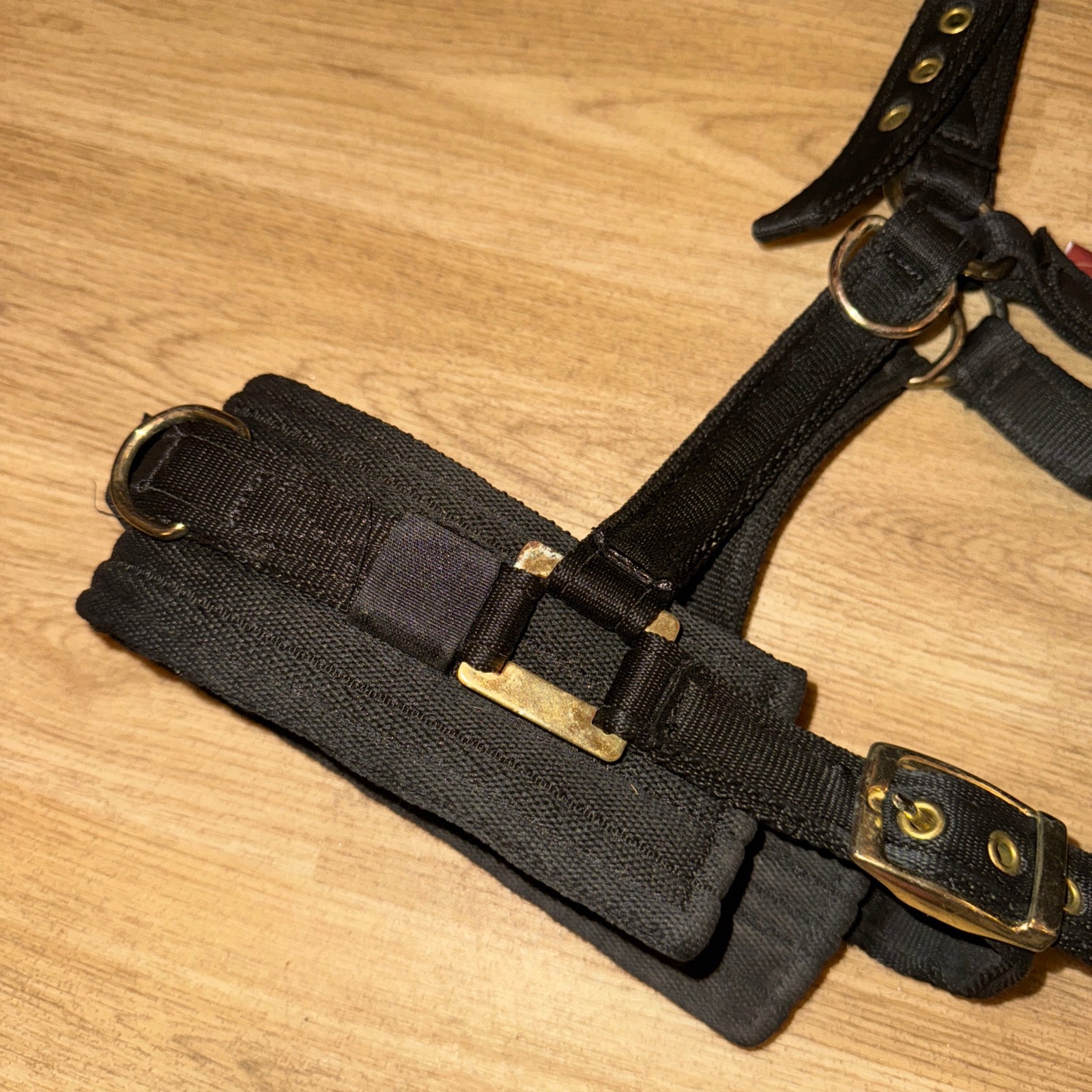 GENUINE Equiami Cob Size Lunging Cavason - FREE Postage