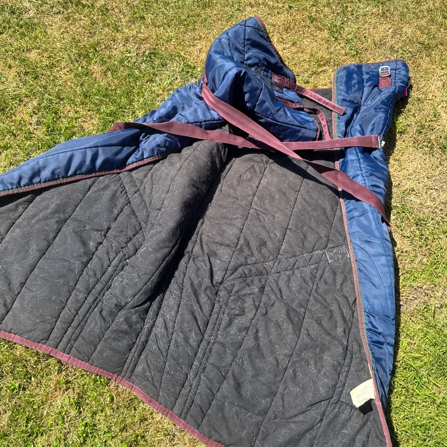 Masta 5’6 250gm Stable Rug - Free Postage