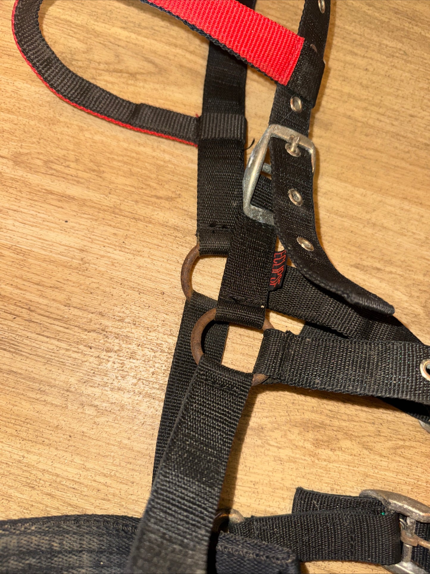 Eclipse Pony Lunging Cavesson Training Aid Second Hand Horse Tack #1