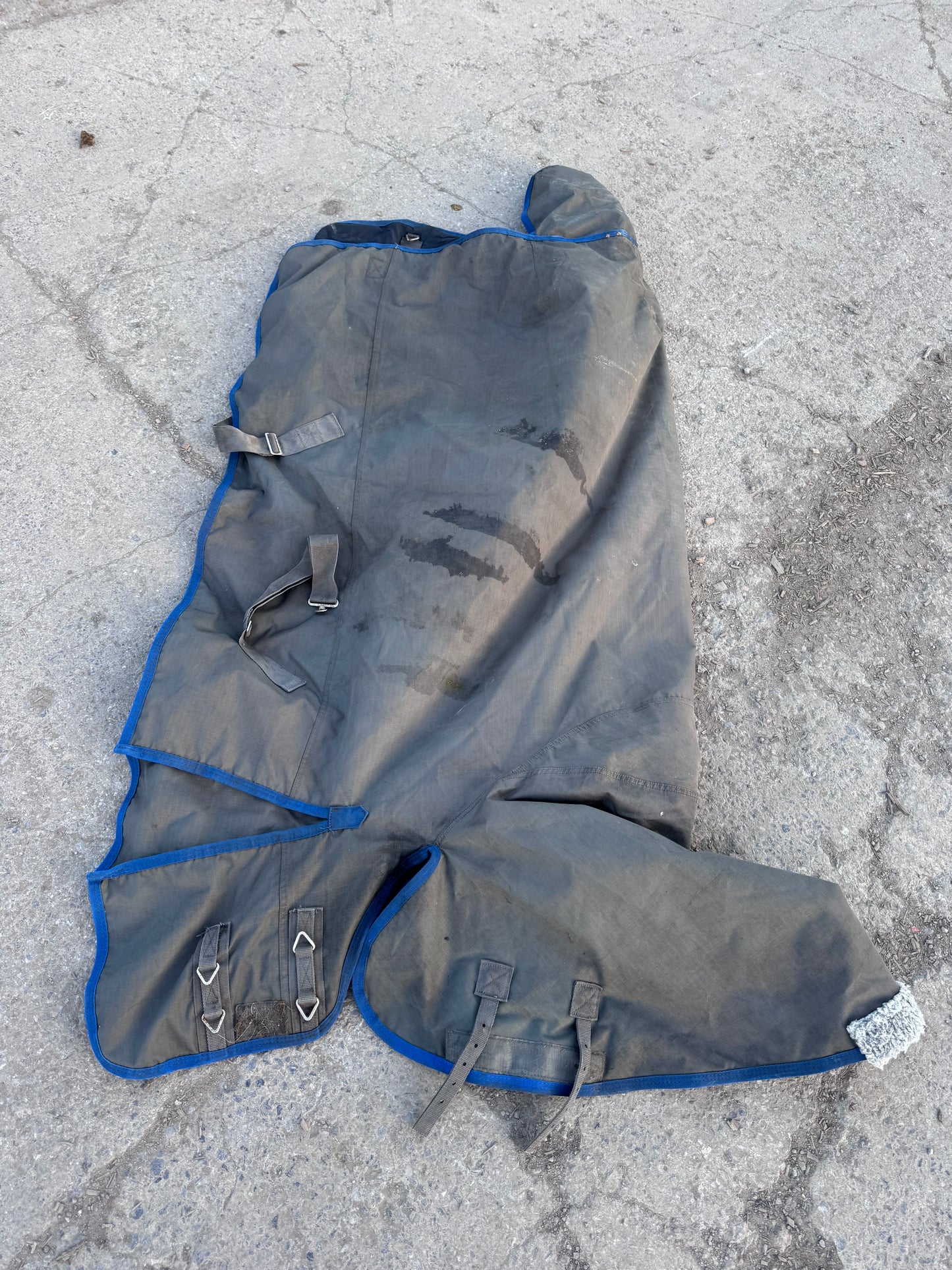 Legacy 5’9 50gm Turnout Combo Rug
