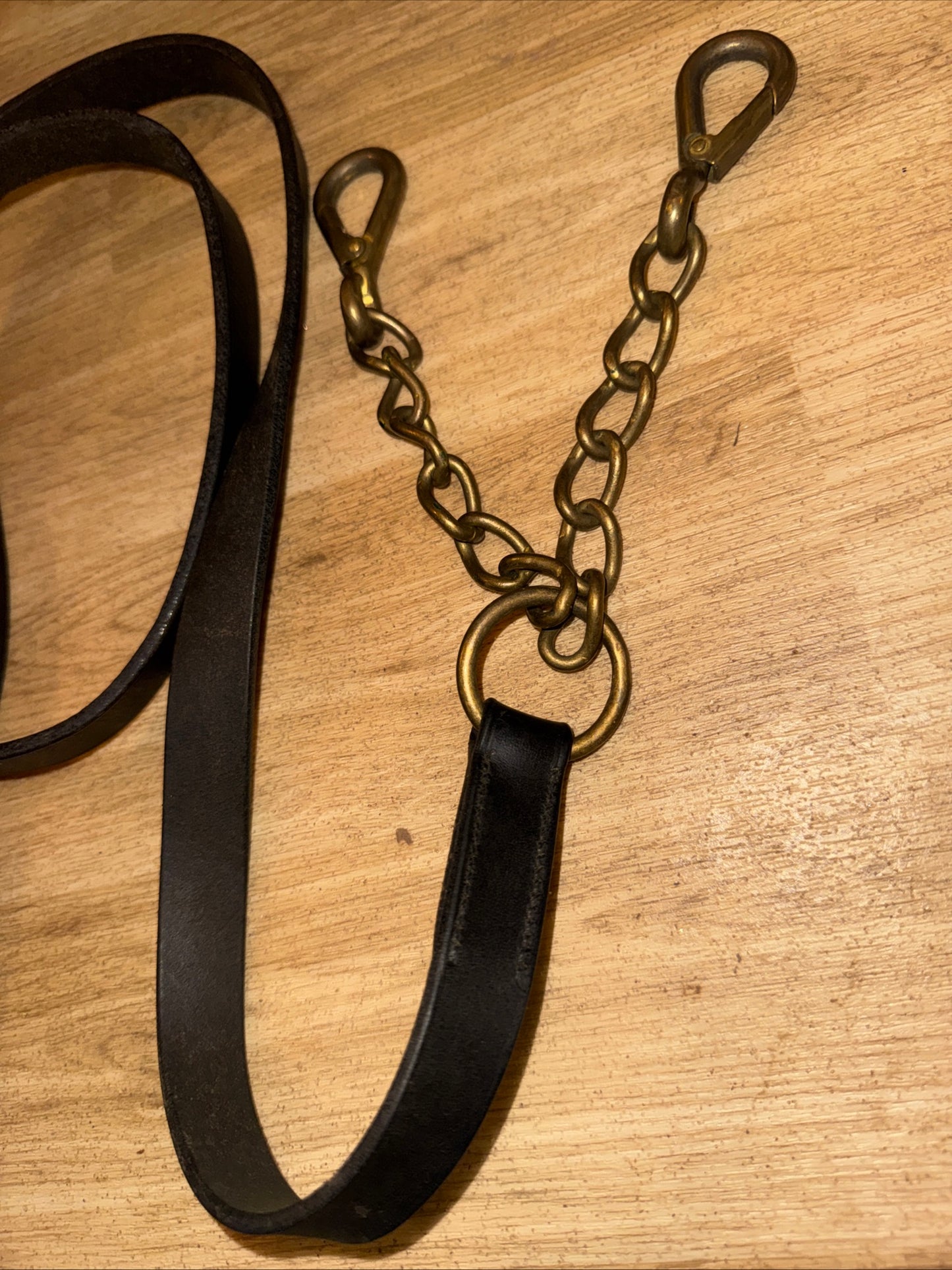 English Leather Black Inhand Showing Lead And Coupling #1 Show Horse Cob