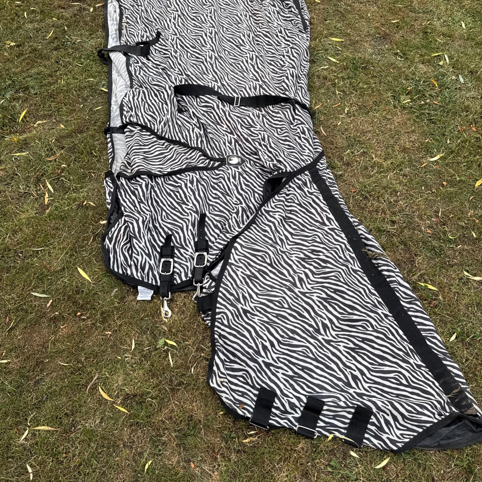 Big Horse Shop Epic 7’3 Broad Fit Fly Rug - Heavy Horse