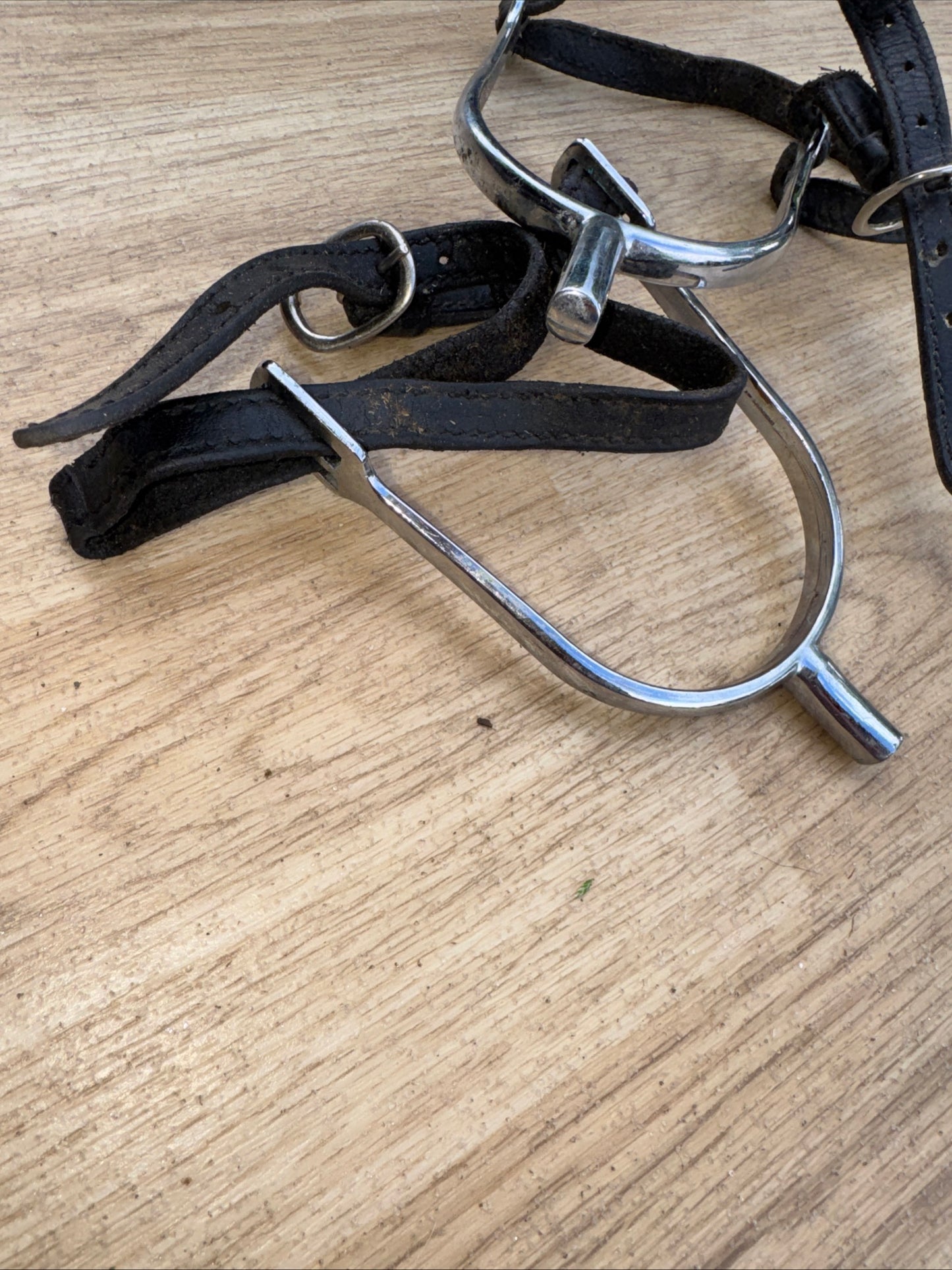 Ladies Prince Of Wales Spurs & Straps #2235