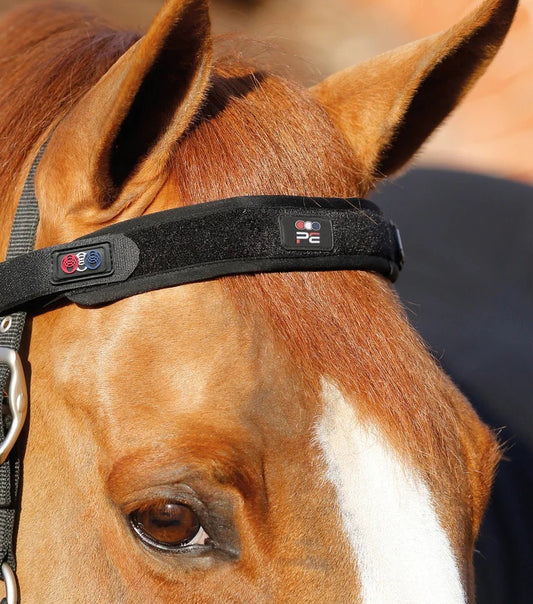 Premier Equine Magni-Teque Browband