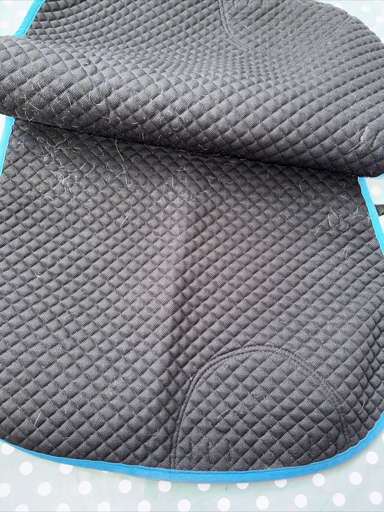 Hy Sport Size Cob To Full Blue Saddle Pad