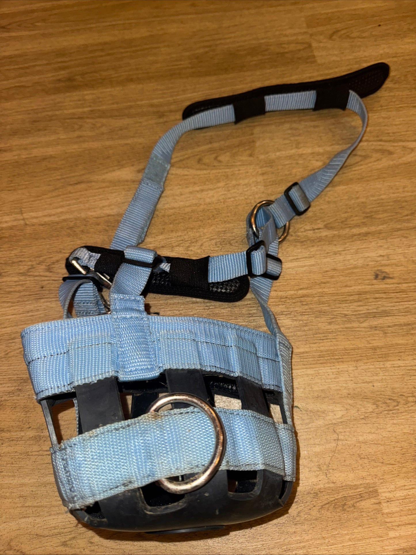 Baby Blue Pony Size Grazing Muzzle - Laminitis Obese #3