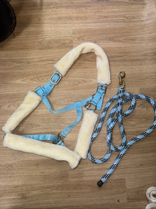 Blue Fluffy XF Headcollar & Leadrope / Free Postage