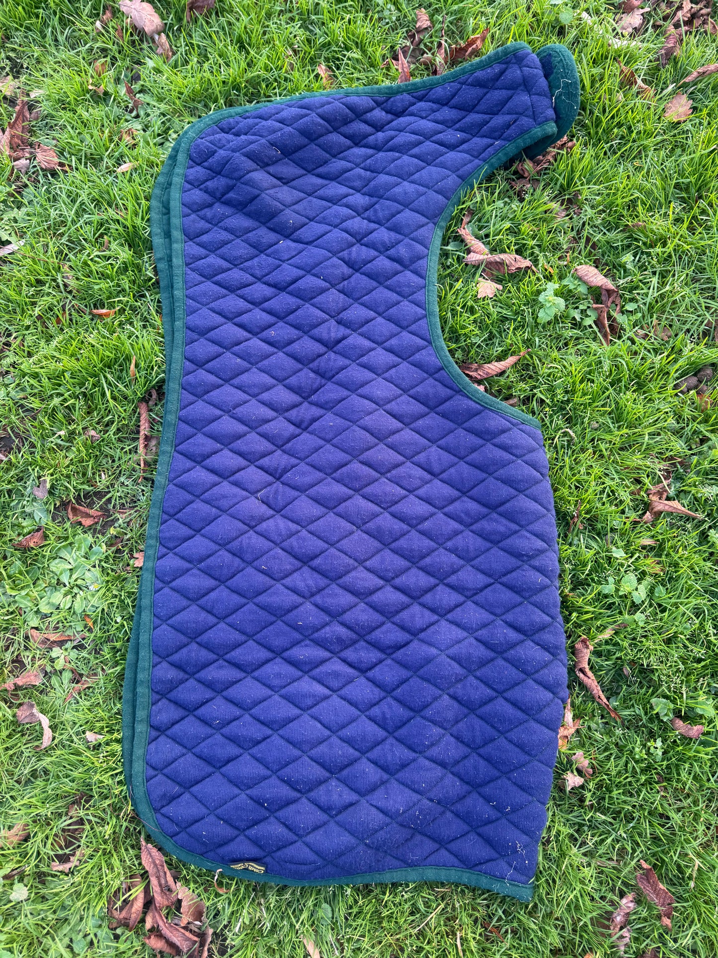 Colin Cook Like A Thermatex Wrap Around Exercise Sheet, Pony Size. Warm Winter