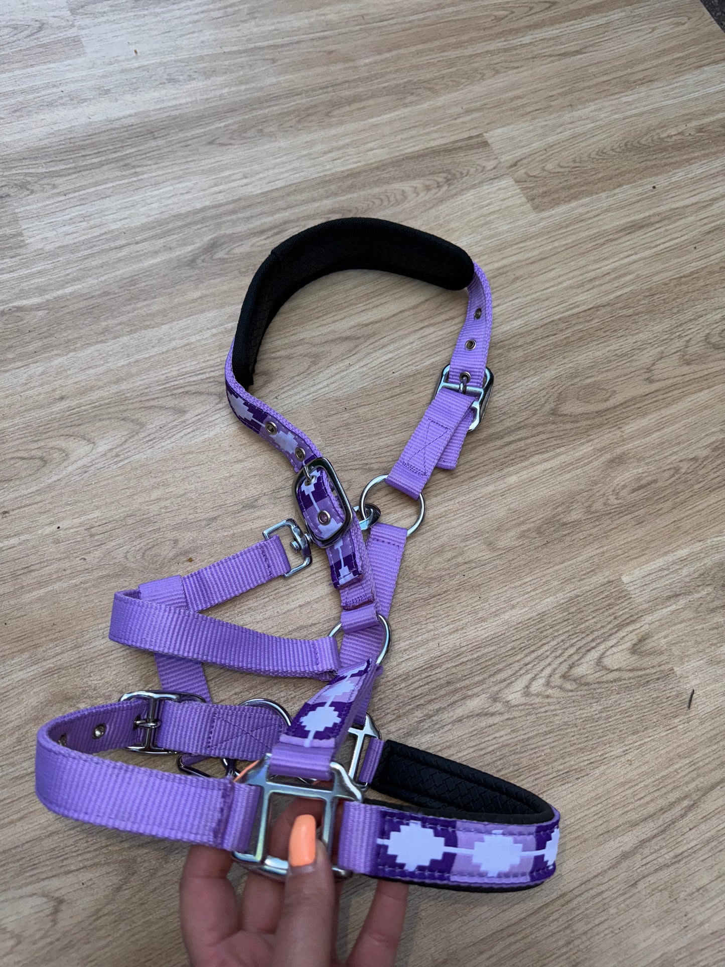 Polo Purple Headcollar