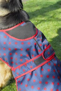 Rhinegold Highland Waterproof Dog Coat