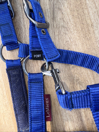 Lemieux Benneton Blue Headcollar  | Size Pony