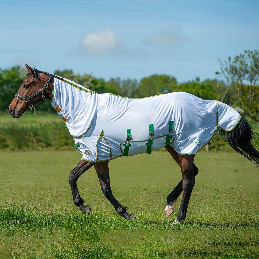 Gallop Fly Mesh Combo Rug .
