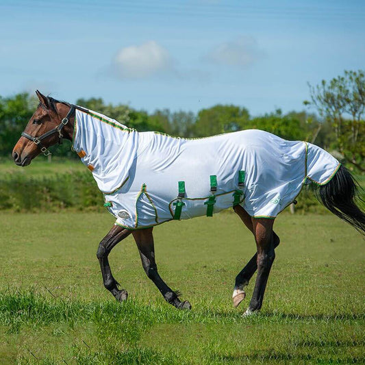 Gallop Fly Mesh Combo Rug .