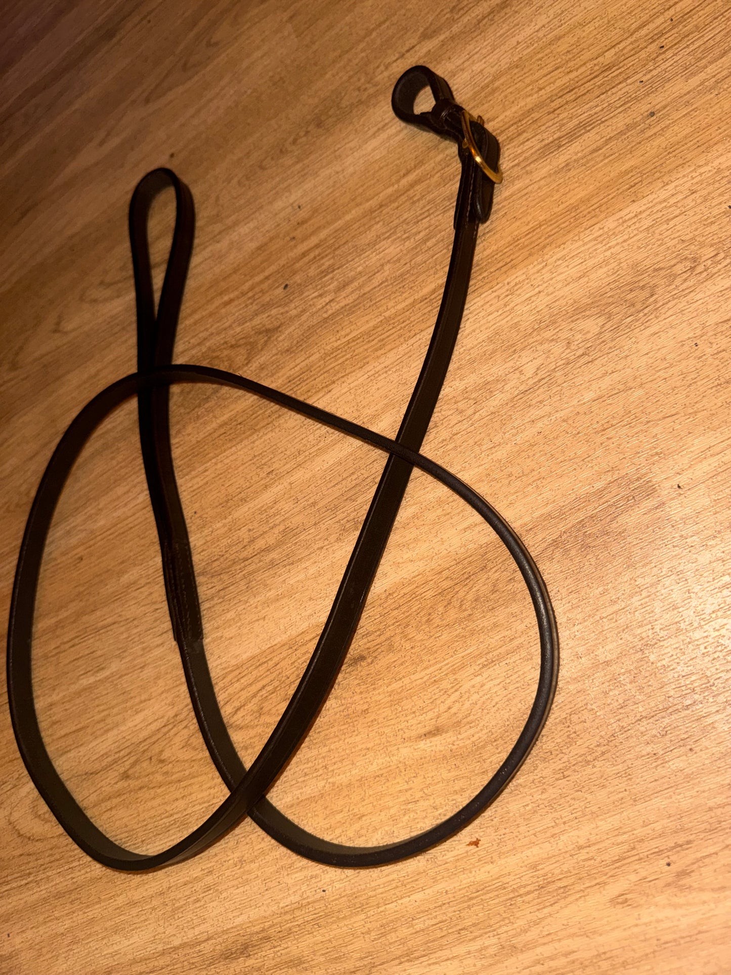Dark Brown English Leather Inhand Lead #10 Show Showing Pony Cob Horse Havana