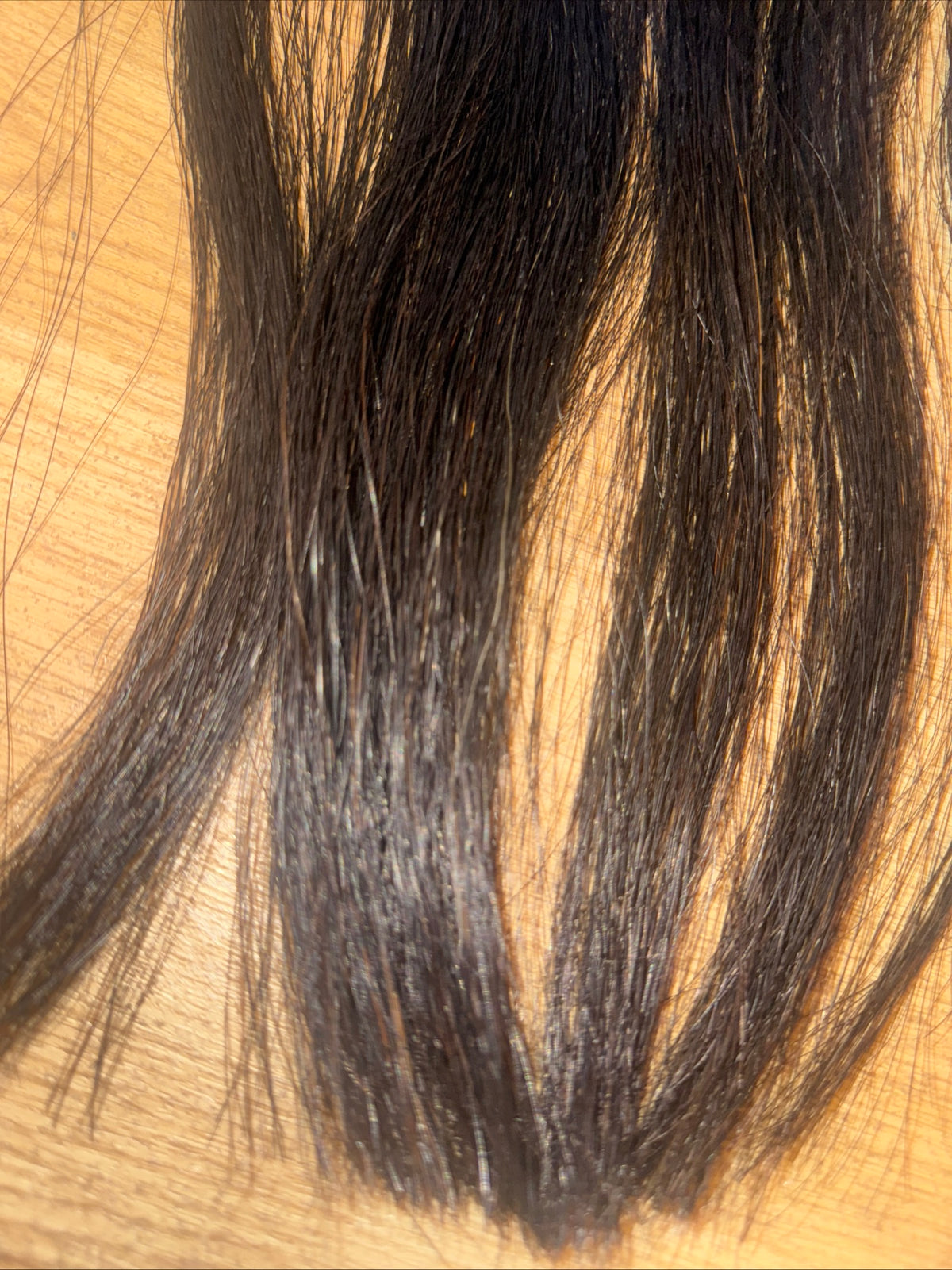 Sew In Black Mane Extension - Cover Bald Patches On The Mane - Horse Pony
