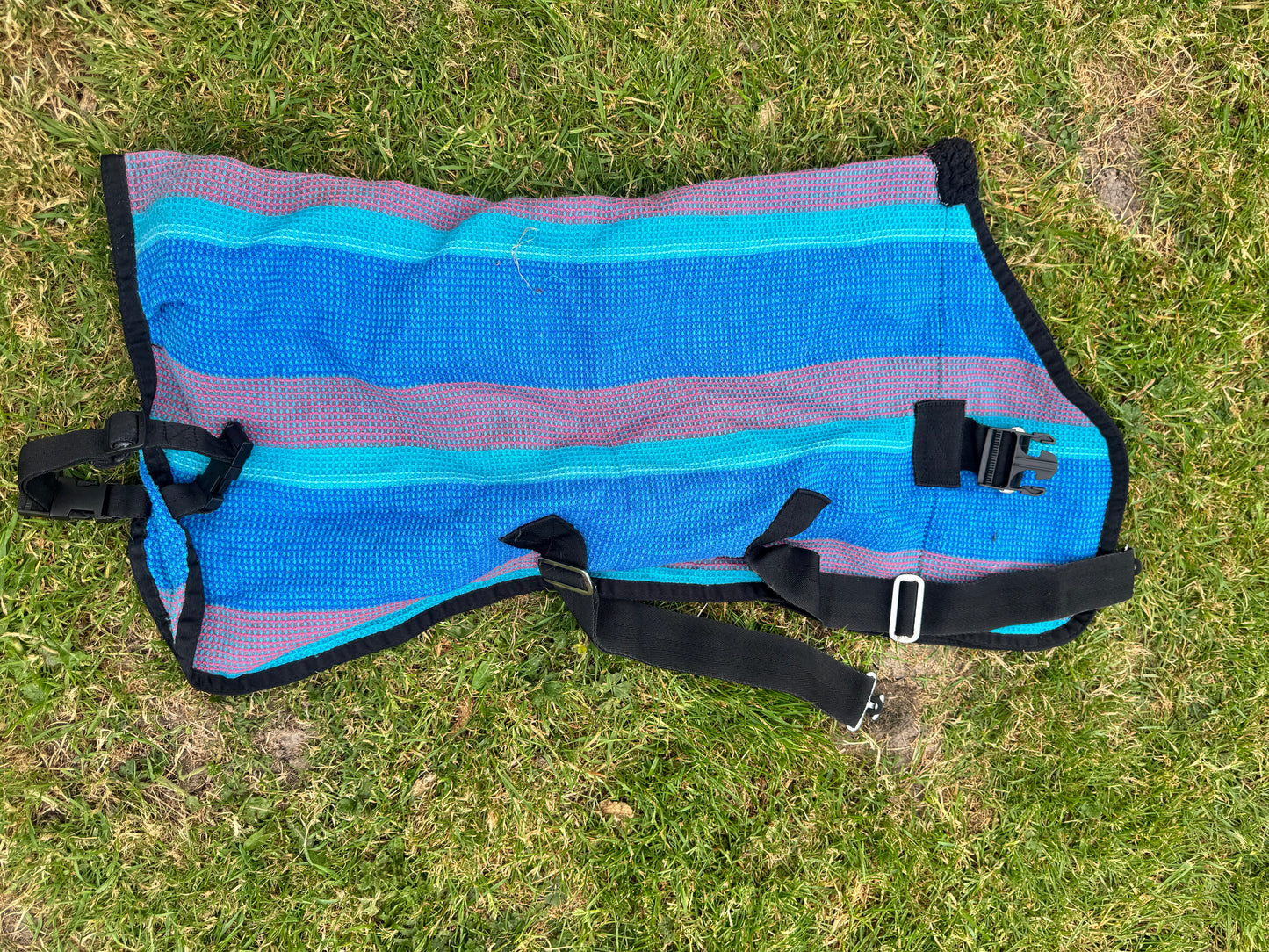 3’0 Waffle Rug Stable Cooler Travel Before Shows Miniature Shetland Pony Foal