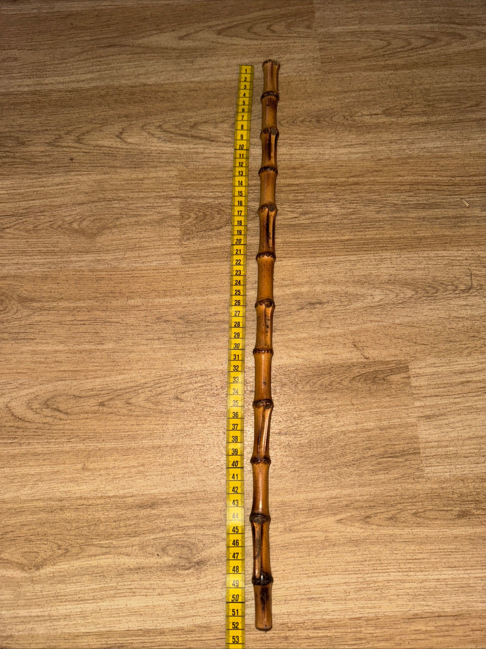 Bamboo Showing Cane 52cm